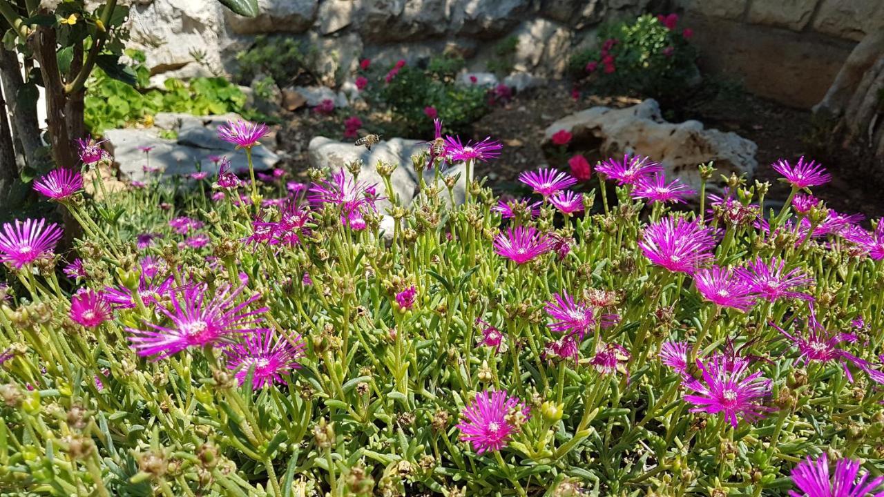 קריקווניצה Apartments Gorana מראה חיצוני תמונה