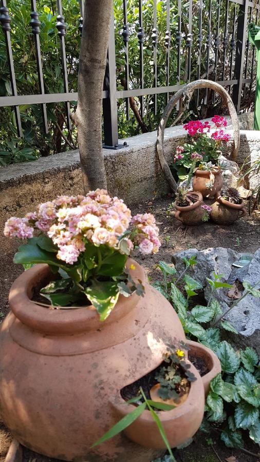קריקווניצה Apartments Gorana מראה חיצוני תמונה